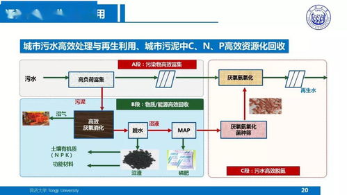 物联网技术服务赋能污水厂 戴晓虎关于提质增效与污泥处理处置的技术方向思考