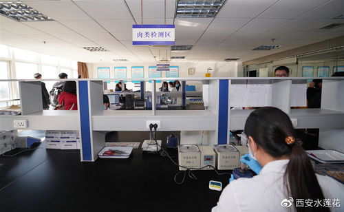 物联网技术护航西部欣桥物流中心，西安春节“菜篮子”供应稳定充足