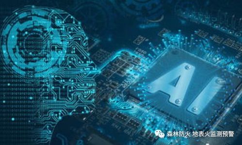 林业物联网总体架构与技术服务体系研究